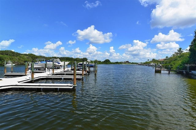 dock area featuring a water view