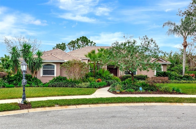 16806 5th Ter NE, Bradenton, FL 34212 - view of property hidden behind natural elements with stucco siding, a front yard, and a tile roof
