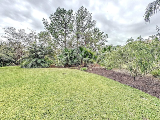 16806 5th Ter NE, Bradenton, FL 34212 - view of grassy yard