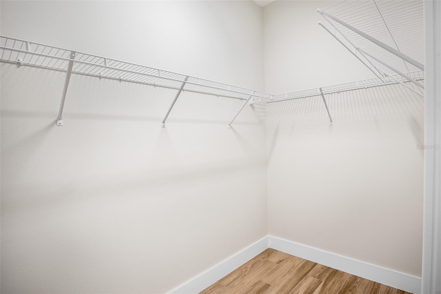 spacious closet featuring hardwood / wood-style floors