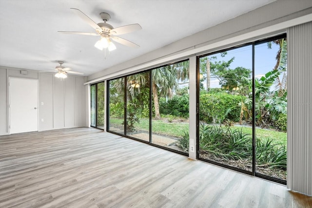 empty room with ceiling fan and light hardwood / wood-style flooring