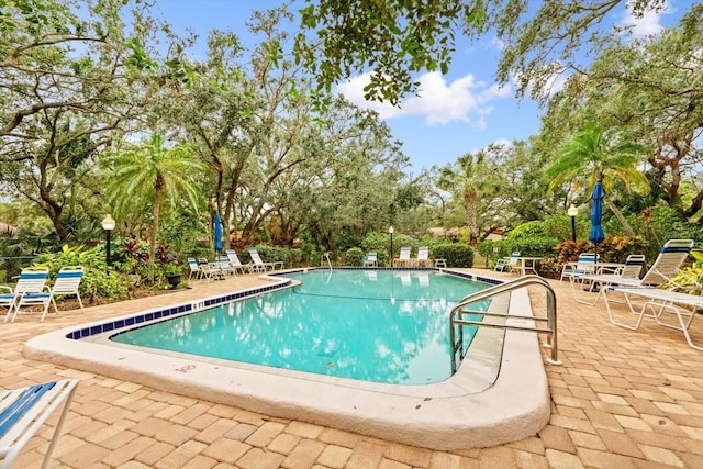 view of pool featuring a patio area