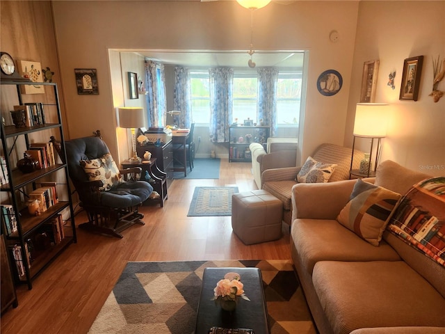 living room featuring hardwood / wood-style floors