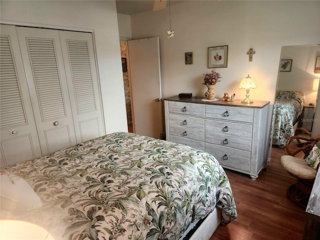 bedroom featuring dark hardwood / wood-style flooring and a closet