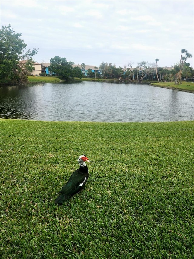 property view of water