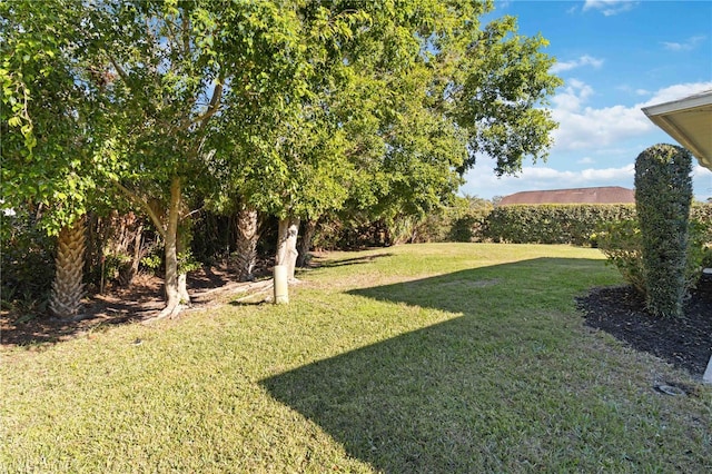 view of yard featuring a mountain view