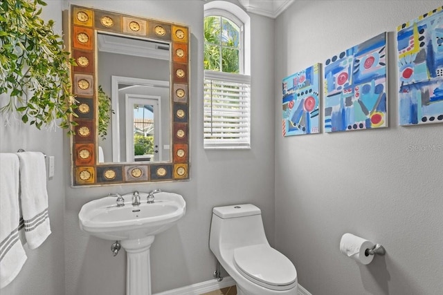 bathroom with toilet and ornamental molding