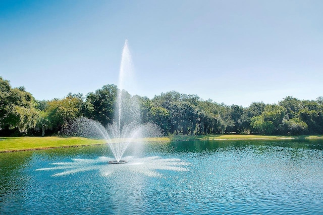 view of water feature