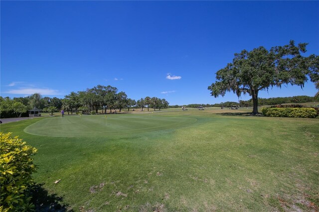 view of property's community with a yard