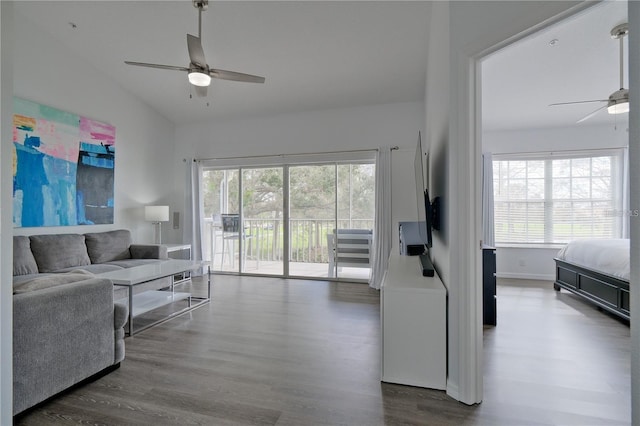 living room featuring ceiling fan, dark hardwood / wood-style flooring, and vaulted ceiling