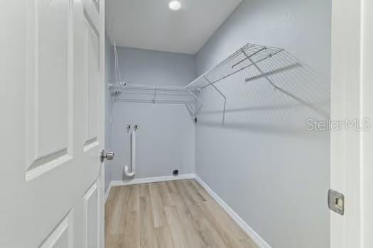 clothes washing area featuring washer hookup and light wood-type flooring