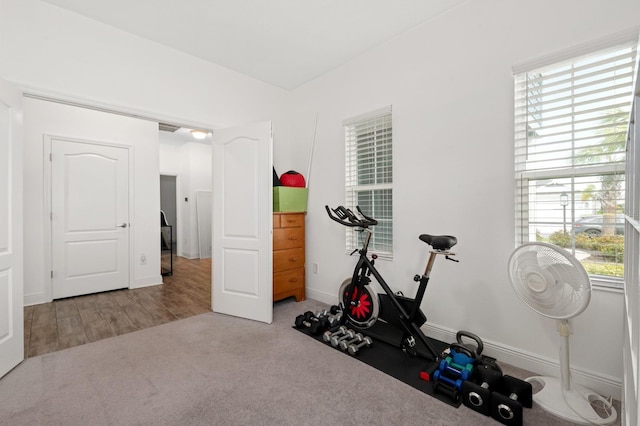 exercise room featuring light colored carpet and plenty of natural light