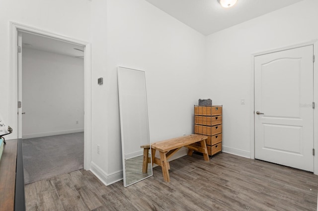 interior space featuring light hardwood / wood-style floors