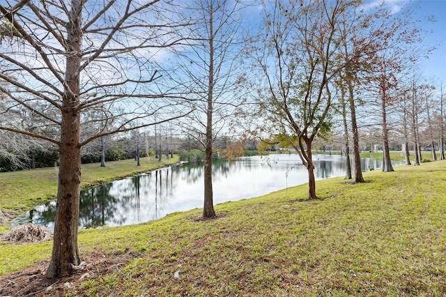 property view of water