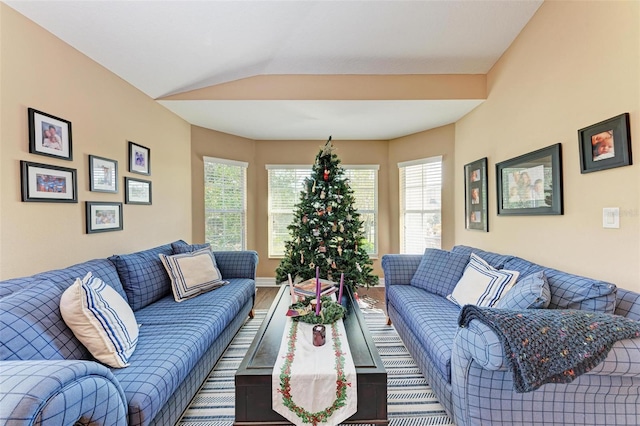 living room featuring vaulted ceiling and hardwood / wood-style floors