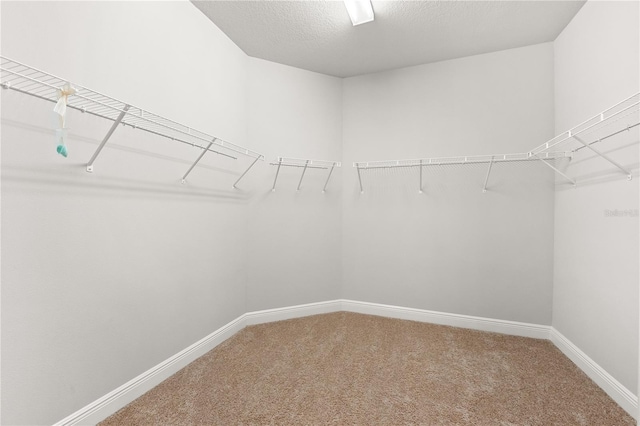 walk in closet with carpet