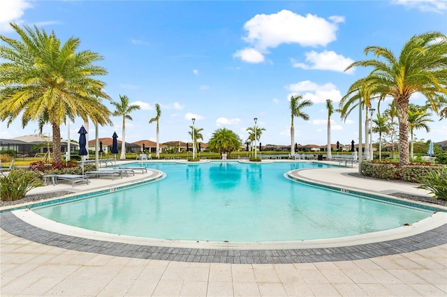 view of swimming pool featuring a patio