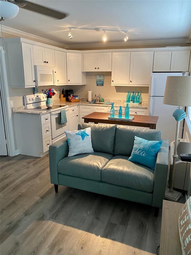 living room with light wood-type flooring, ornamental molding, and sink