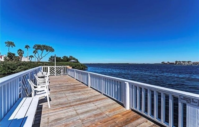 dock area with a water view