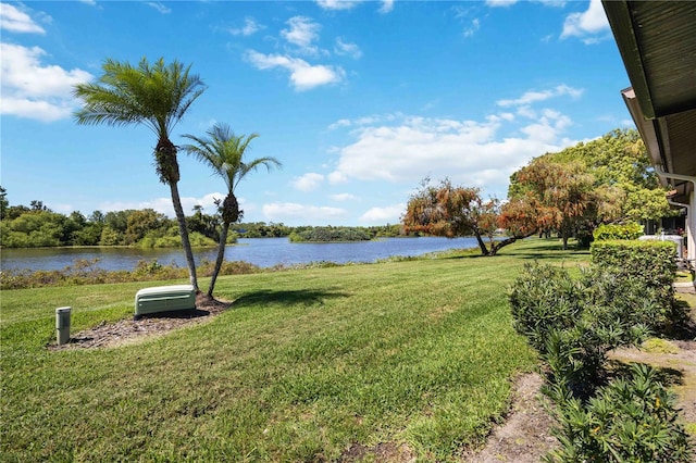 view of yard with a water view