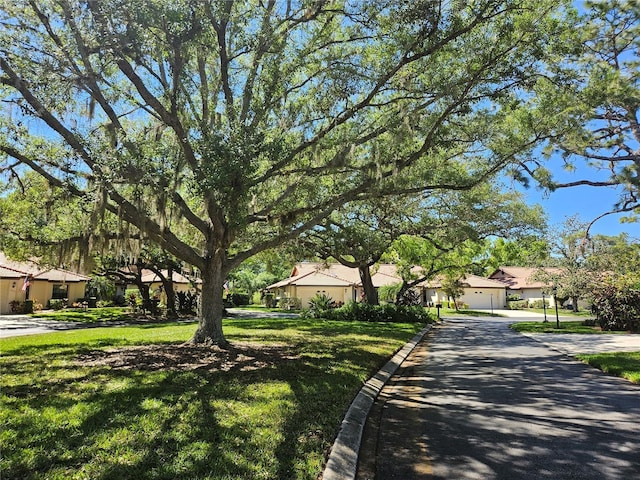 view of front of property featuring a front lawn