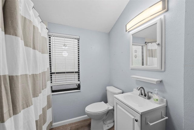 bathroom with vanity, wood-type flooring, and toilet