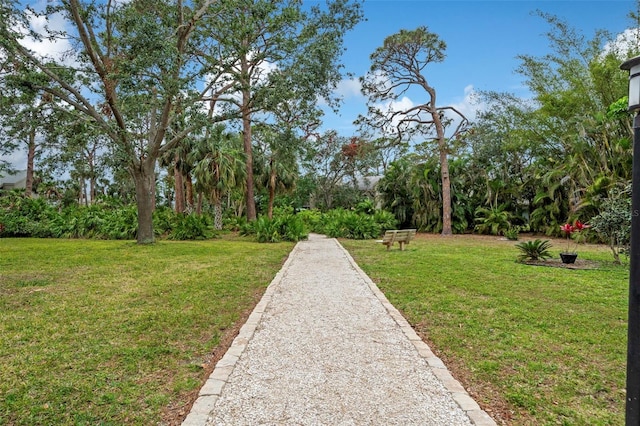 view of property's community featuring a yard