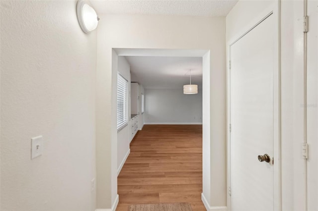 2753 Orchid Oaks Dr Unit 104, Sarasota, FL 34239 - hall featuring light wood-type flooring, baseboards, and a textured ceiling