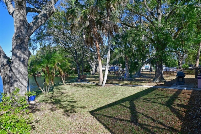 view of yard with a water view