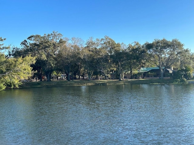 view of water feature