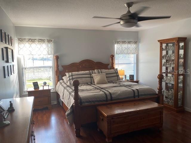 bedroom featuring multiple windows, dark hardwood / wood-style floors, and ceiling fan