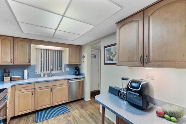 kitchen with a paneled ceiling, light hardwood / wood-style flooring, stainless steel dishwasher, and sink