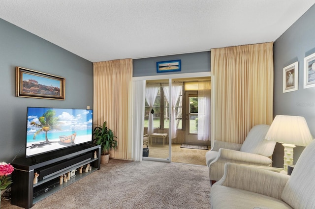 carpeted living room with a textured ceiling