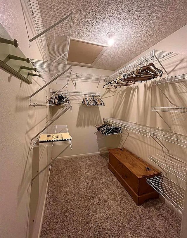 walk in closet with carpet floors