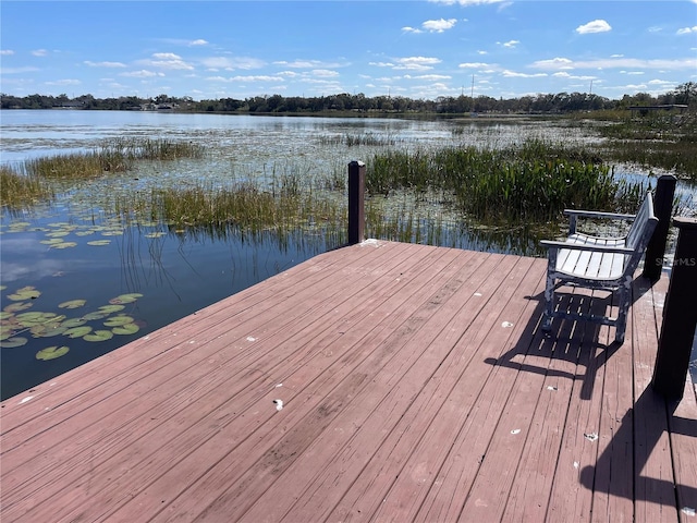 dock area featuring a water view