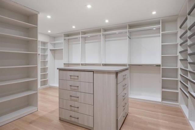 spacious closet with light wood-type flooring