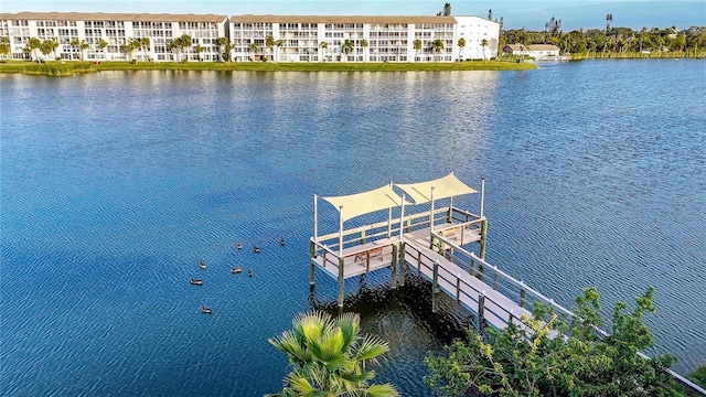 dock area with a water view