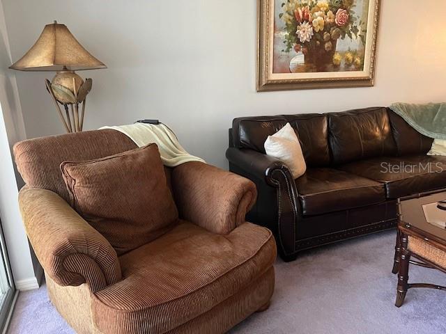 living room with carpet floors