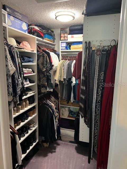 spacious closet featuring carpet floors