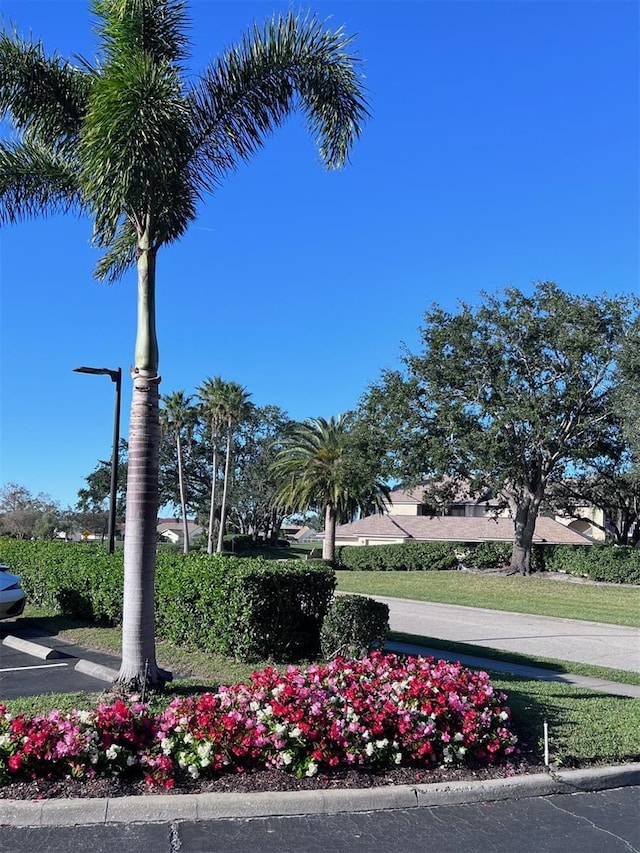 view of property's community