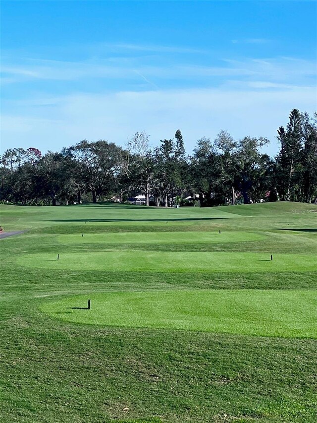 view of community featuring a lawn