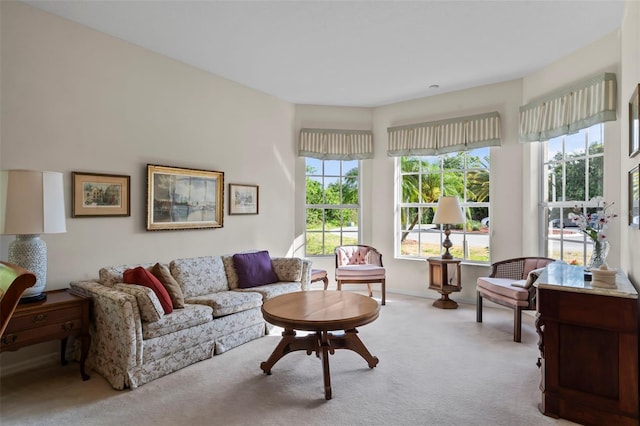 living room featuring light carpet