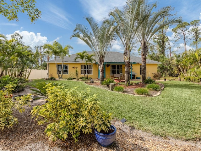 rear view of house featuring a yard