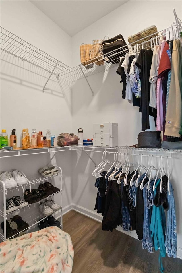 spacious closet with wood-type flooring