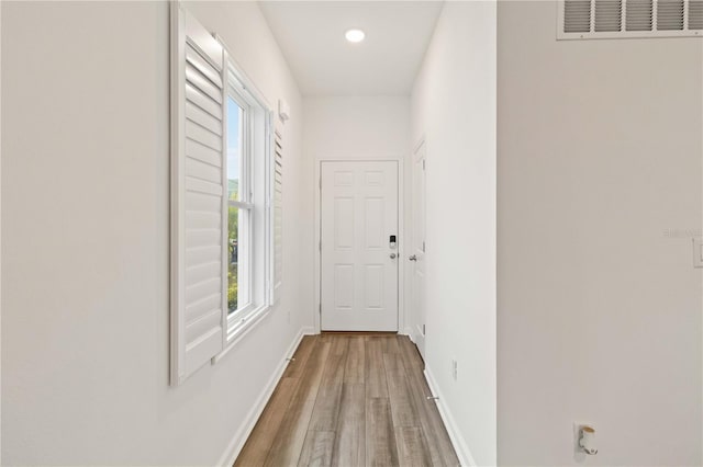 hall featuring wood-type flooring and plenty of natural light