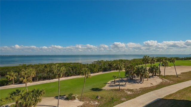 view of community featuring a water view and a lawn