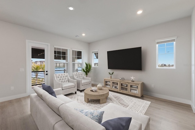 living room with light hardwood / wood-style floors and a wealth of natural light