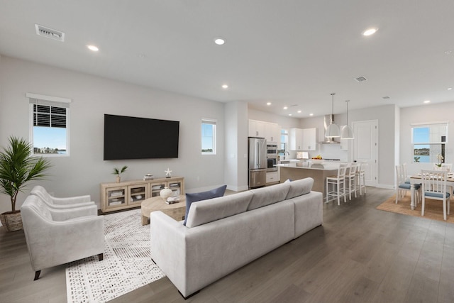 living room with hardwood / wood-style flooring and a healthy amount of sunlight