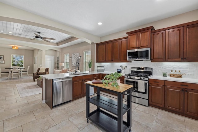 kitchen with stainless steel appliances, ceiling fan, a wealth of natural light, and sink