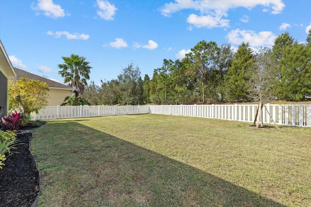 view of yard